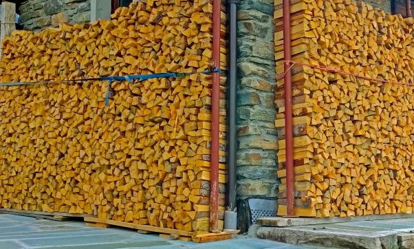 la legna da non usare nella stufa