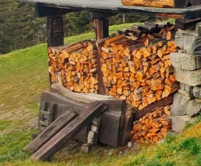 la legna pericolosa e nociva per la stufa