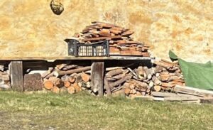 la legna tossica nel camino quali tipologie evitare