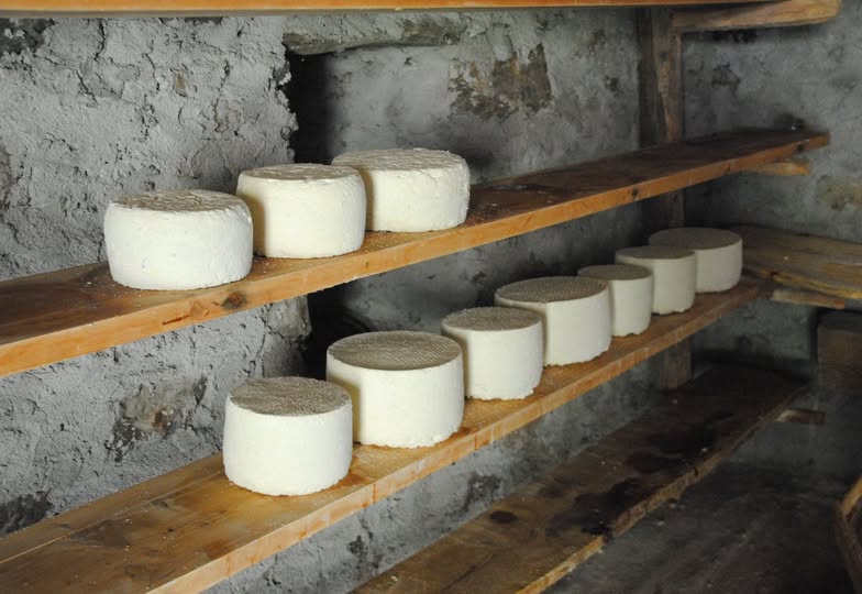 molto più di una ricotta