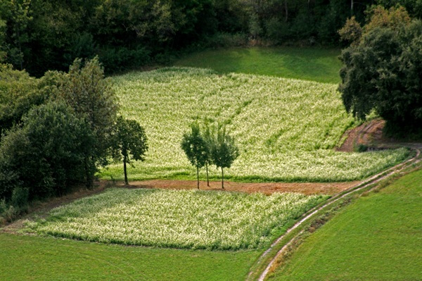 la provenza in valtellina