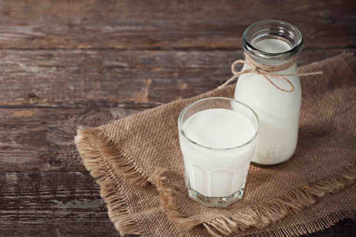 Formaggio fresco|Chiavenna|Chiavenna|Latte fresco Formaggio fresco|Chiavenna|Chiavenna|Latte fresco