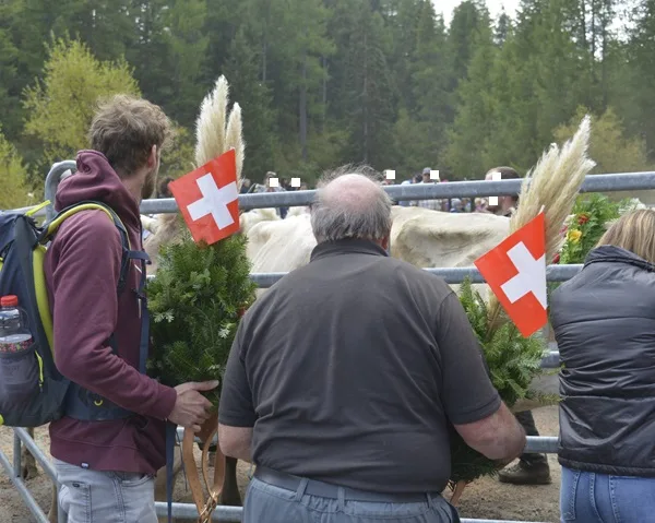 lavori che nessuno vuole fare in svizzera