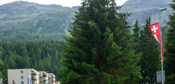 lavori con paghe d'oro in svizzera rispetto all'italia