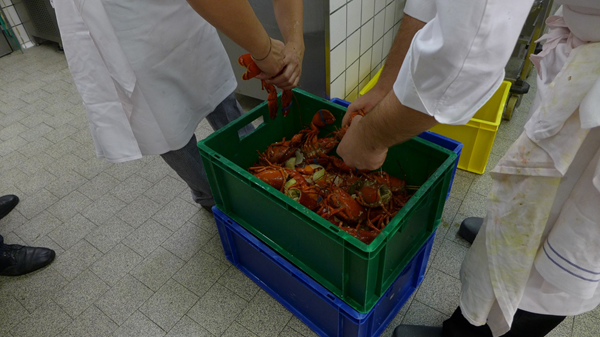 lavori più remunerativi che non richiedono laurea in svizzera