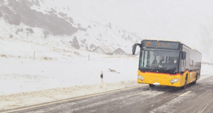 lavori senza manodopera in svizzera