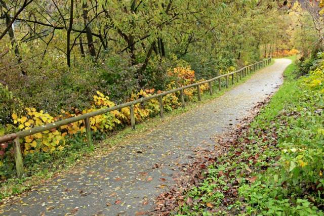 le regole da seguire nei boschi in autunno