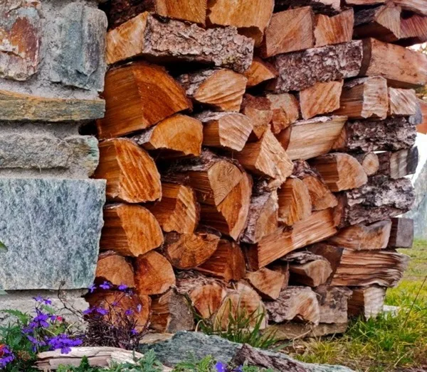 legna da non bruciare nella stufa