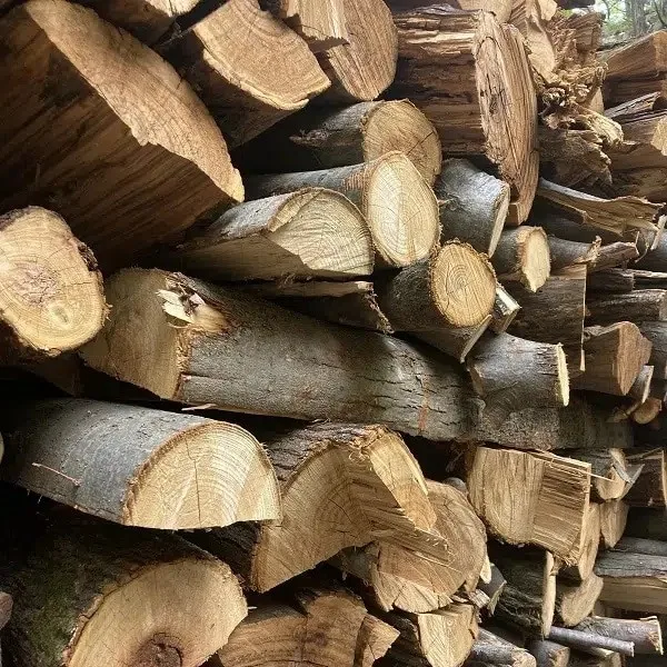 legno che scalda di più