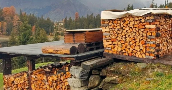 l'importanza della legna a km zero