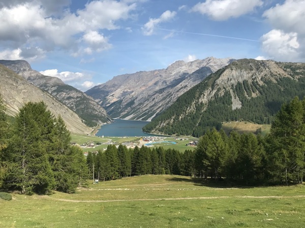 due arrestati per furti nei negozi