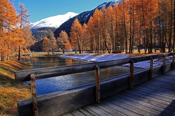 livigno viaggio nella storia del contrabbando alpino