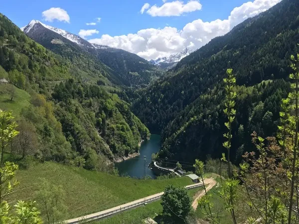 l'orso m7 avvistato in valtellina