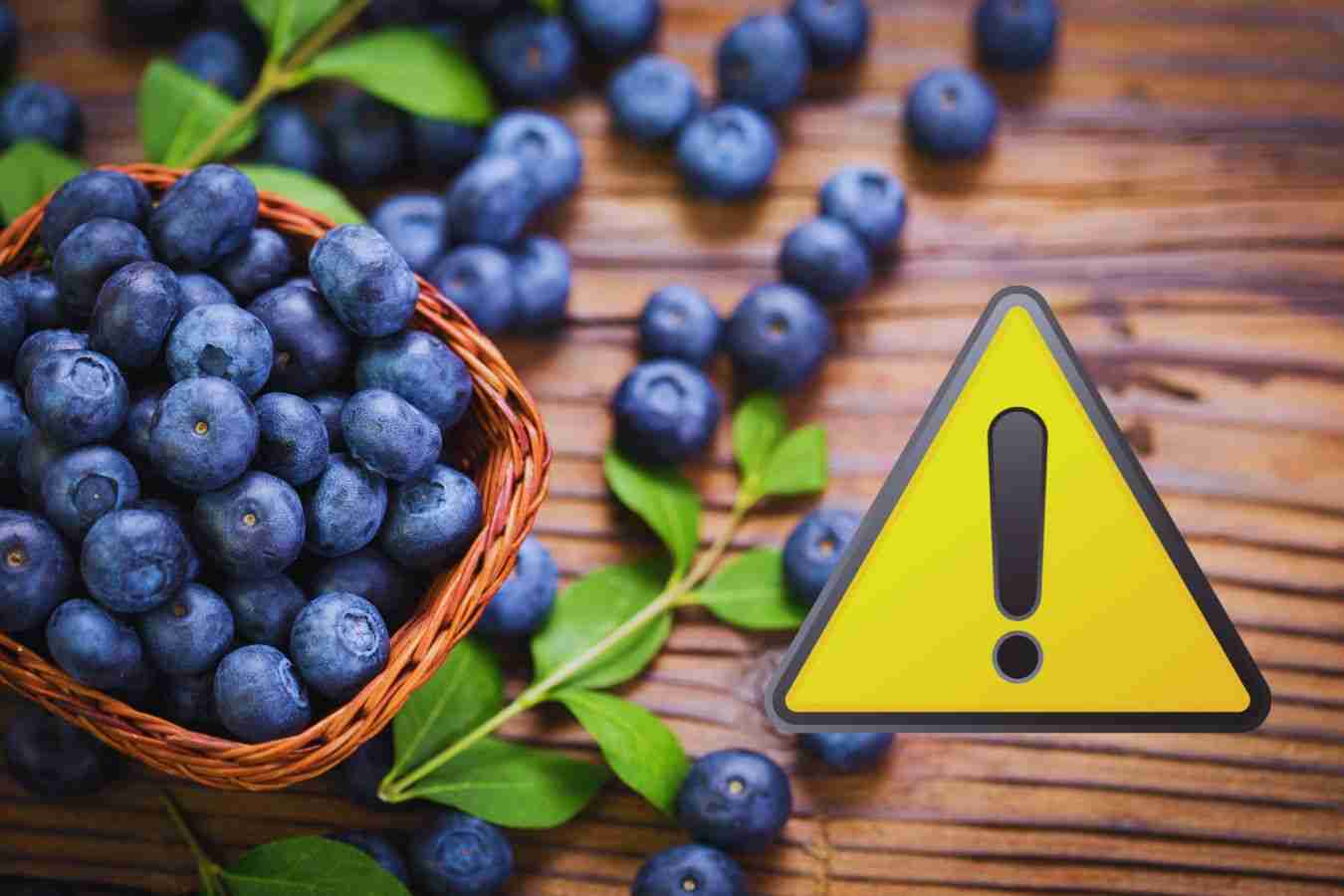 pericolo di bacche velenose|