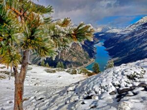 nevica in estate a livigno