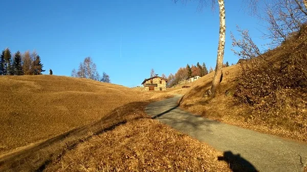 pendenze e dislivelli dei tre versanti del passo mortirolo