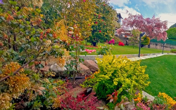 piante che invadono il proprio balcone o giardino come comportarsi