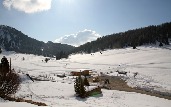 pista da fondo di trivigno|