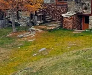 durata e resa della legna