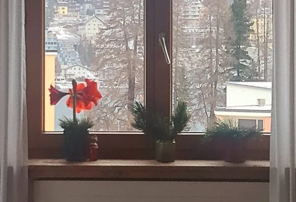 qual è il miglior isolante per il freddo dei muri