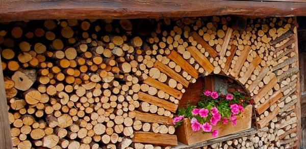 qual è la legna da non bruciare nel camino