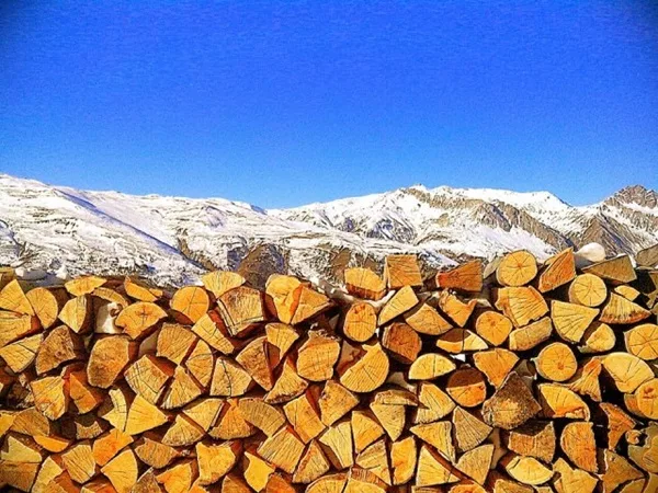 Qual è la migliore legna da ardere per camino