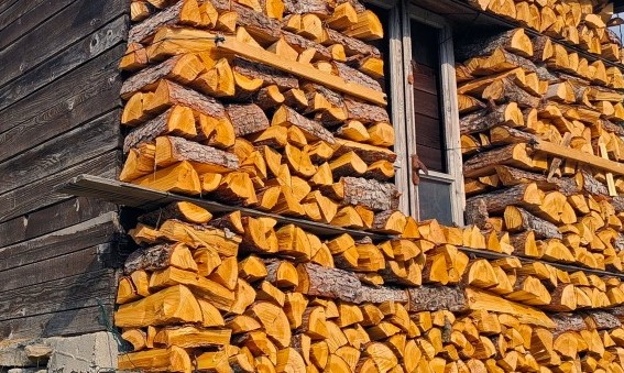 qual è la migliore legna da ardere