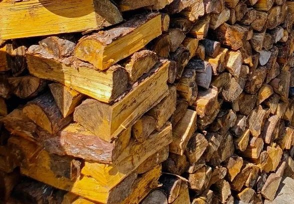 quale legna è tossica da bruciare