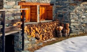 quale legna non si può bruciare nel camino e perché