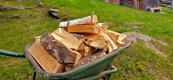 quale legna non si può bruciare nel camino