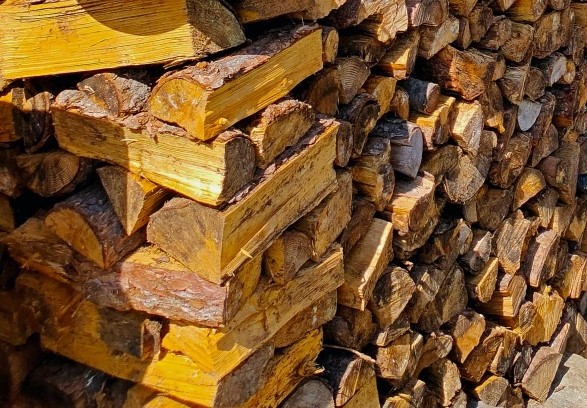 quale legna rovina la canna fumaria