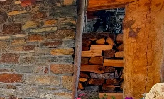 quali sono gli impianti a biomassa non a norma