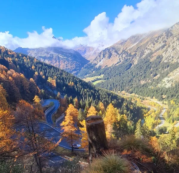 quando conviene montare le gomme 4 stagioni