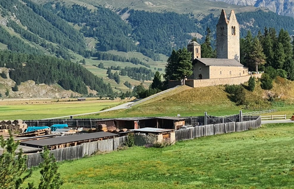quanto guaagna un falegname in svizzera