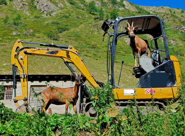quanto guadagna un carpentiere in svizzera