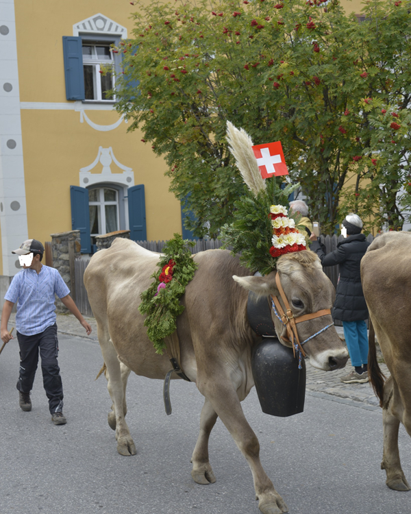 quanto guadagna un pastore in svizzera