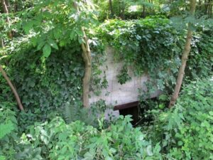 ridotto valtellina l’ultima speranza per mussolini nell'aprile del 1945