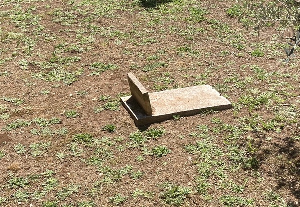 si può seppellire un animale nel giardino di casa