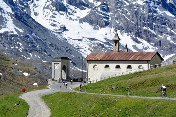 stelvio o mortirolo in bici confronto tra due giganti delle alpi