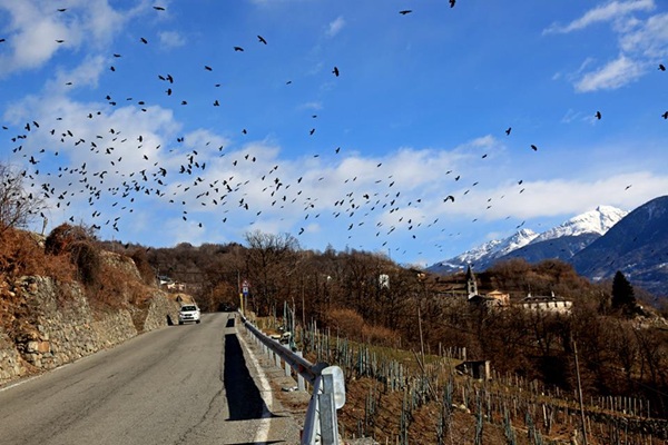strada provinciale 21 valtellina