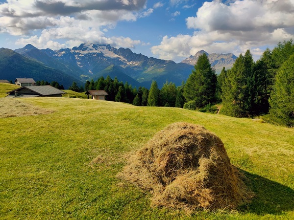 temperatura valtellina
