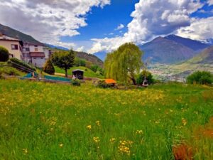 terreno non edificabile ecco cosa puoi costruirci davvero