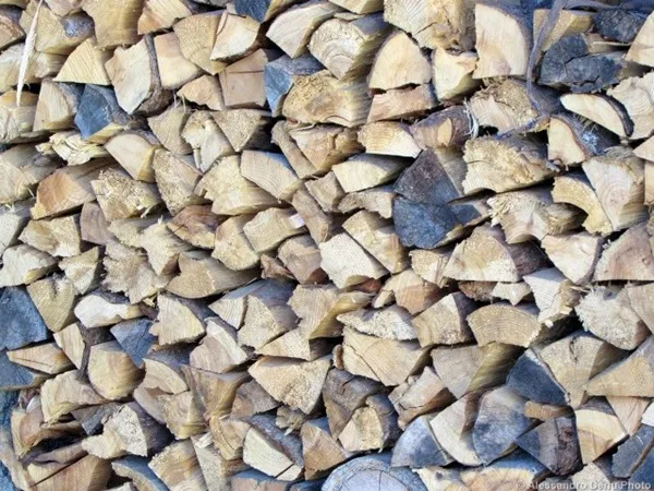 tipi di legna da ardere essenze e caratteristiche