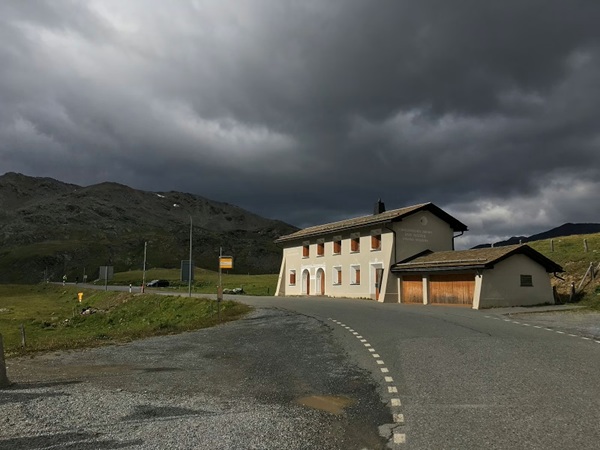 trasferimento bestiame sulla strada del passo umbrail