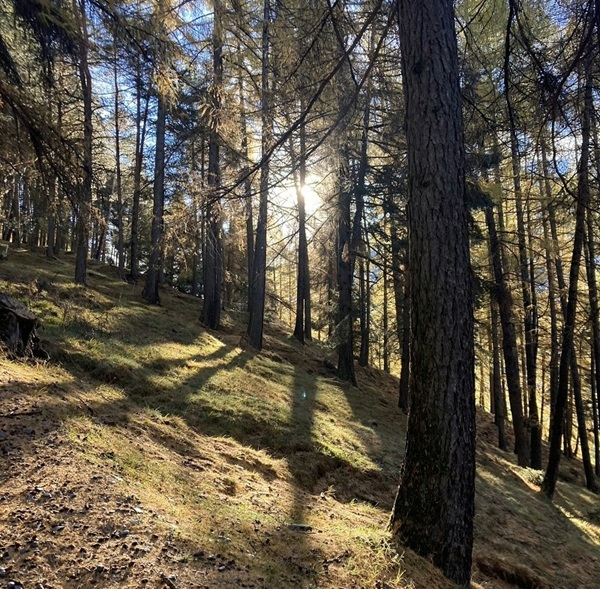 trekking panoramici e sapori locali in valtellina