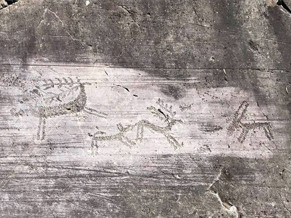 nato molto prima della giornata mondiale del cane