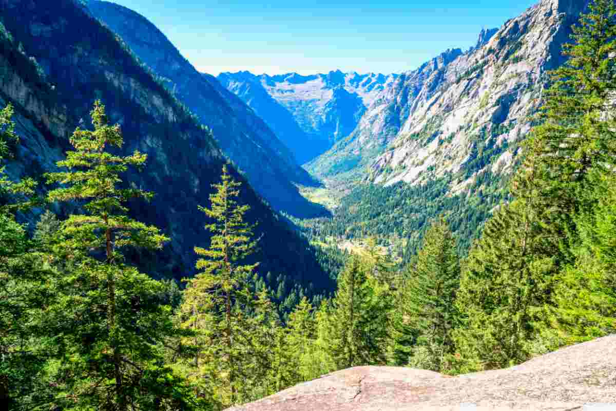 Val di Mello|Piante casa|Muffa casa|val di mello 20250923 valtellinamobile.it