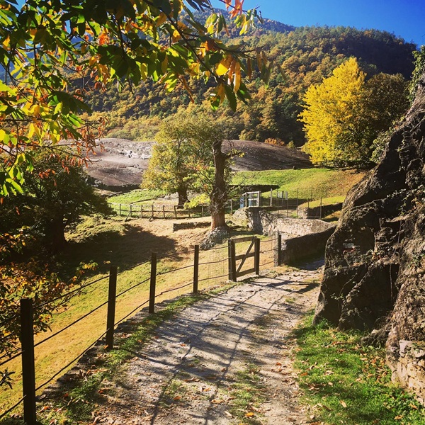 valtellina dorata quando l’autunno dipinge le montagne