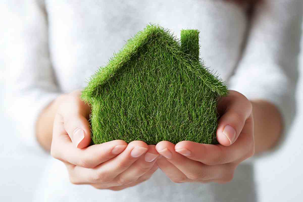 Idraulico termosifone|Casa green