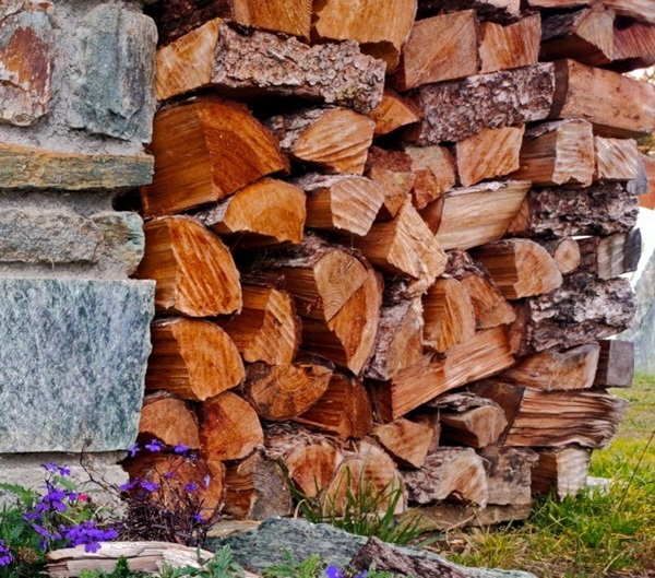 legna velenosa da ardere quale evitare e perché